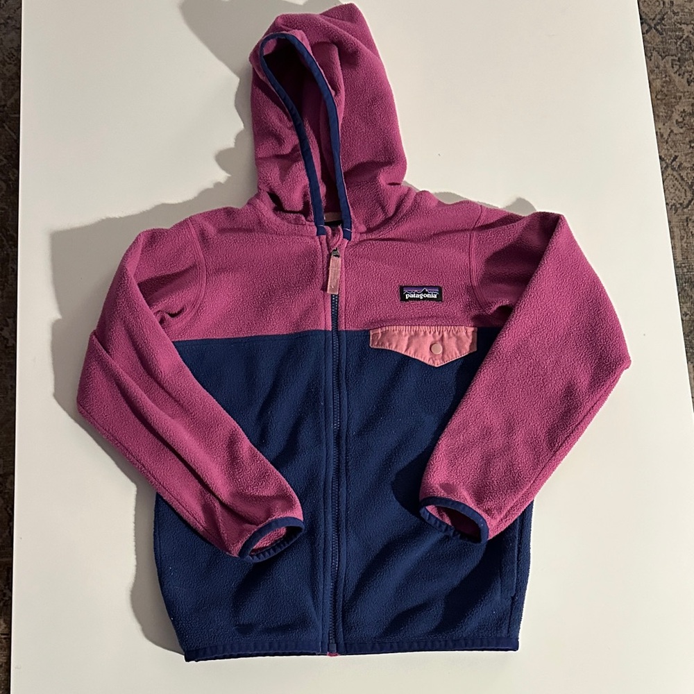 Toddler Patagonia Micro D Snap-T Hooded Fleece Jacket